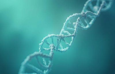 planejamento-familiar-triagem-genetica-preconcepcao-testes-de-portadores-e-prevencao-de-doencas-here